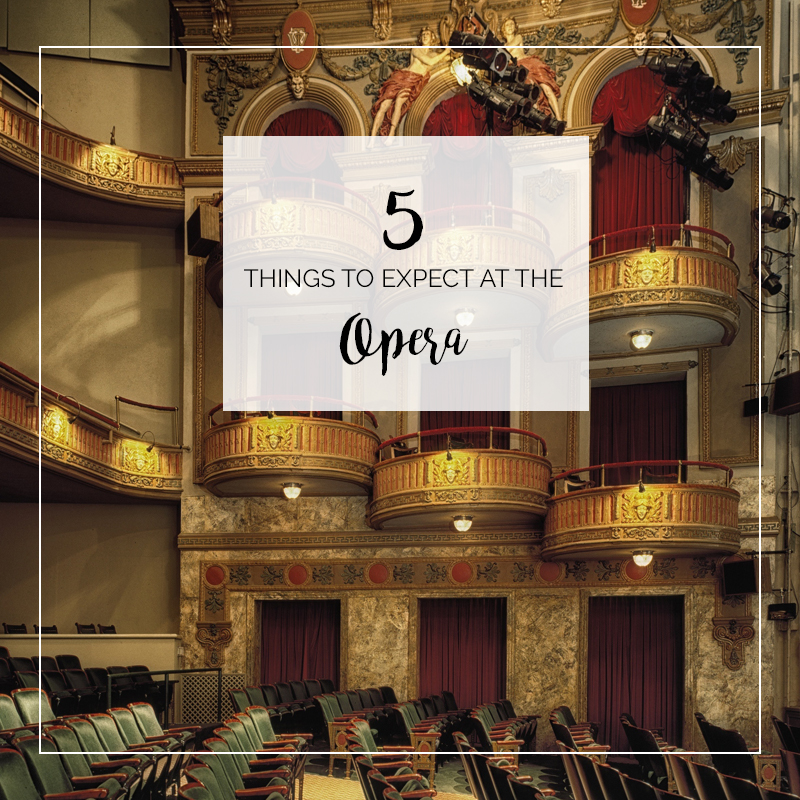 Top 5 Things to Expect at the Opera | opera newbies